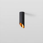 Hazel Surface Mounted LED Downlight in Matte Black or White