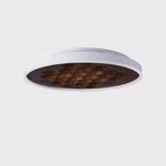 heartwood-ceiling-lamp