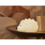 hedgehog-timing-night-light