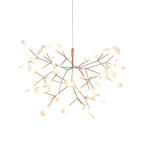 heracleum-chandelier
