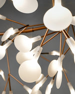 heracleum-chandelier