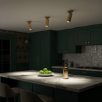Horizon Brass Ceiling Spot Light – Adjustable LED Accent Lighting