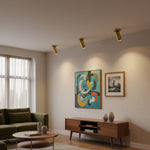 Horizon Brass Ceiling Spot Light – Adjustable LED Accent Lighting