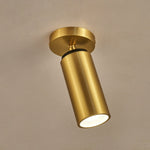 Horizon Brass Ceiling Spot Light – Adjustable LED Accent Lighting
