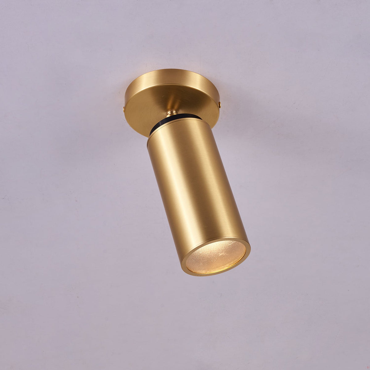 Horizon Brass Ceiling Spot Light – Adjustable LED Accent Lighting