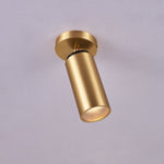 Horizon Brass Ceiling Spot Light – Adjustable LED Accent Lighting