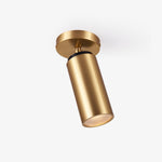 Horizon Brass Ceiling Spot Light – Adjustable LED Accent Lighting