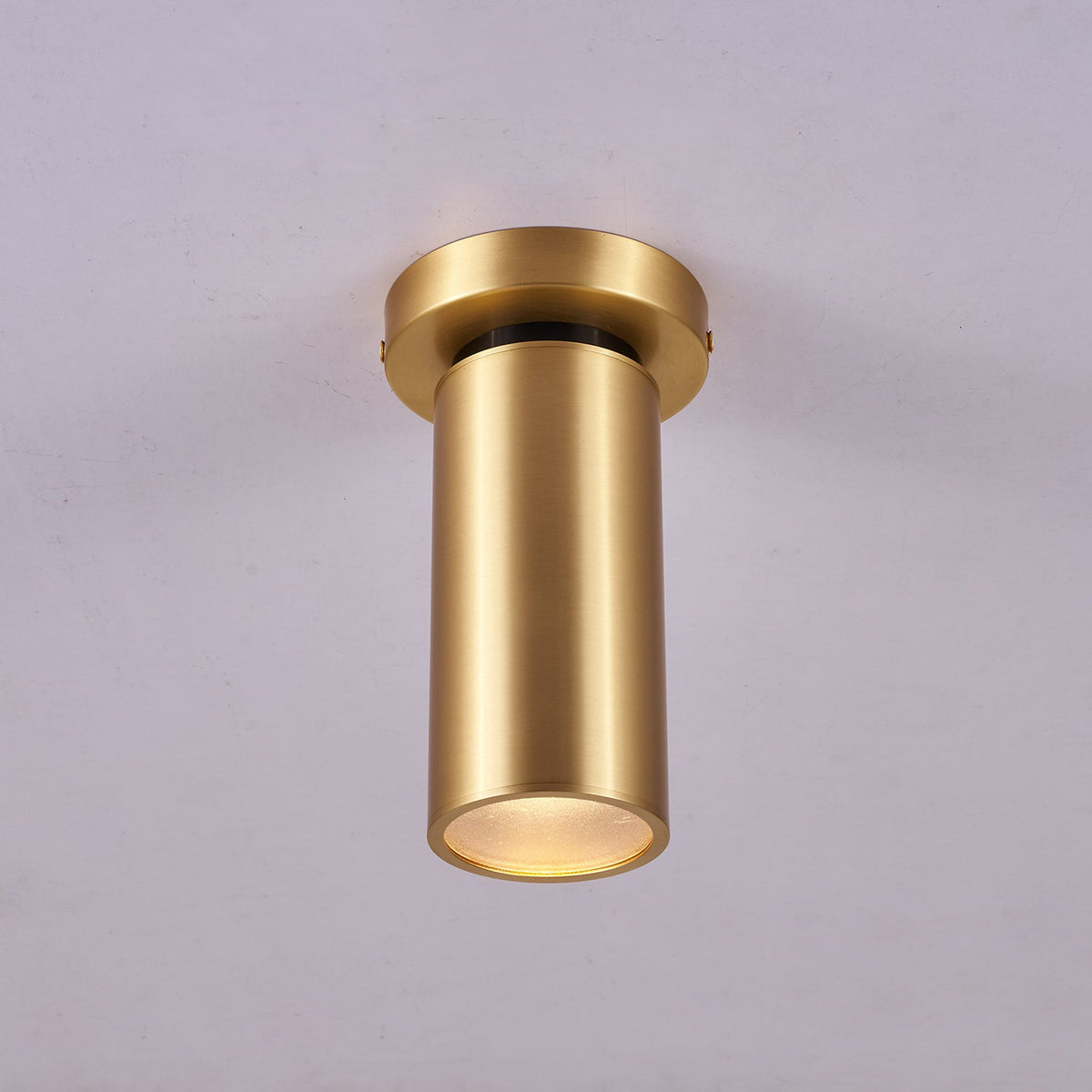 Horizon Brass Ceiling Spot Light – Adjustable LED Accent Lighting