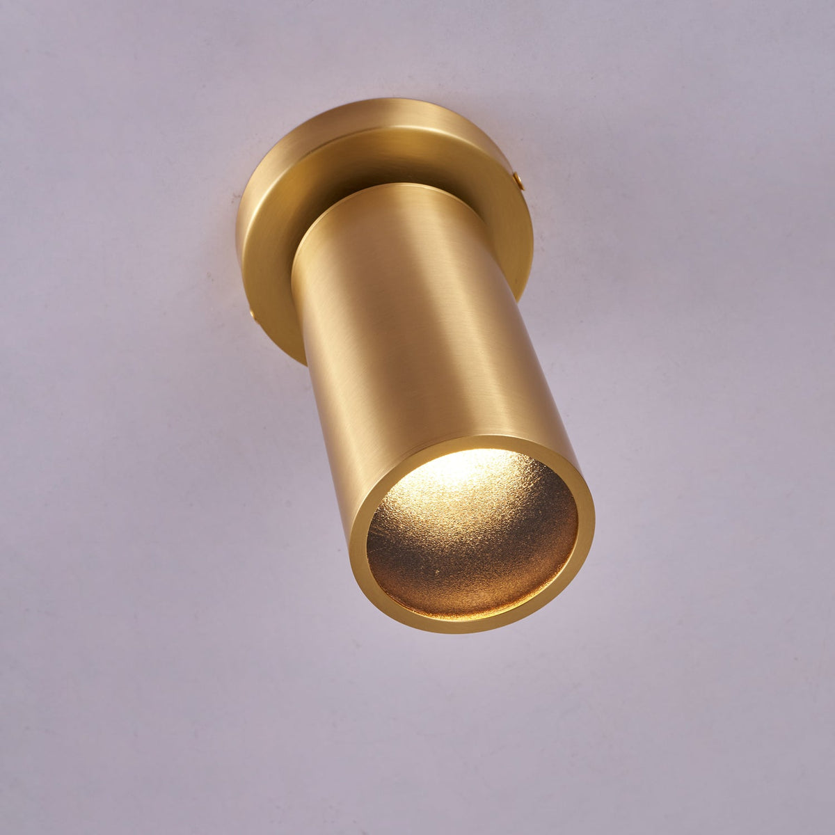 Horizon Brass Ceiling Spot Light – Adjustable LED Accent Lighting