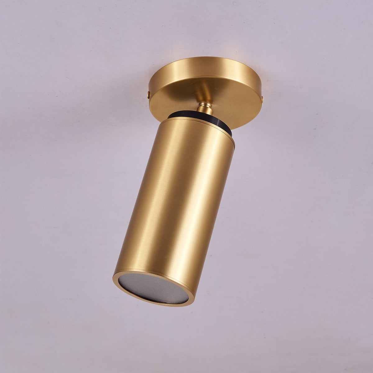 Horizon Brass Ceiling Spot Light – Adjustable LED Accent Lighting