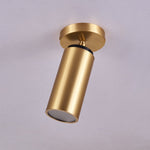 Horizon Brass Ceiling Spot Light – Adjustable LED Accent Lighting