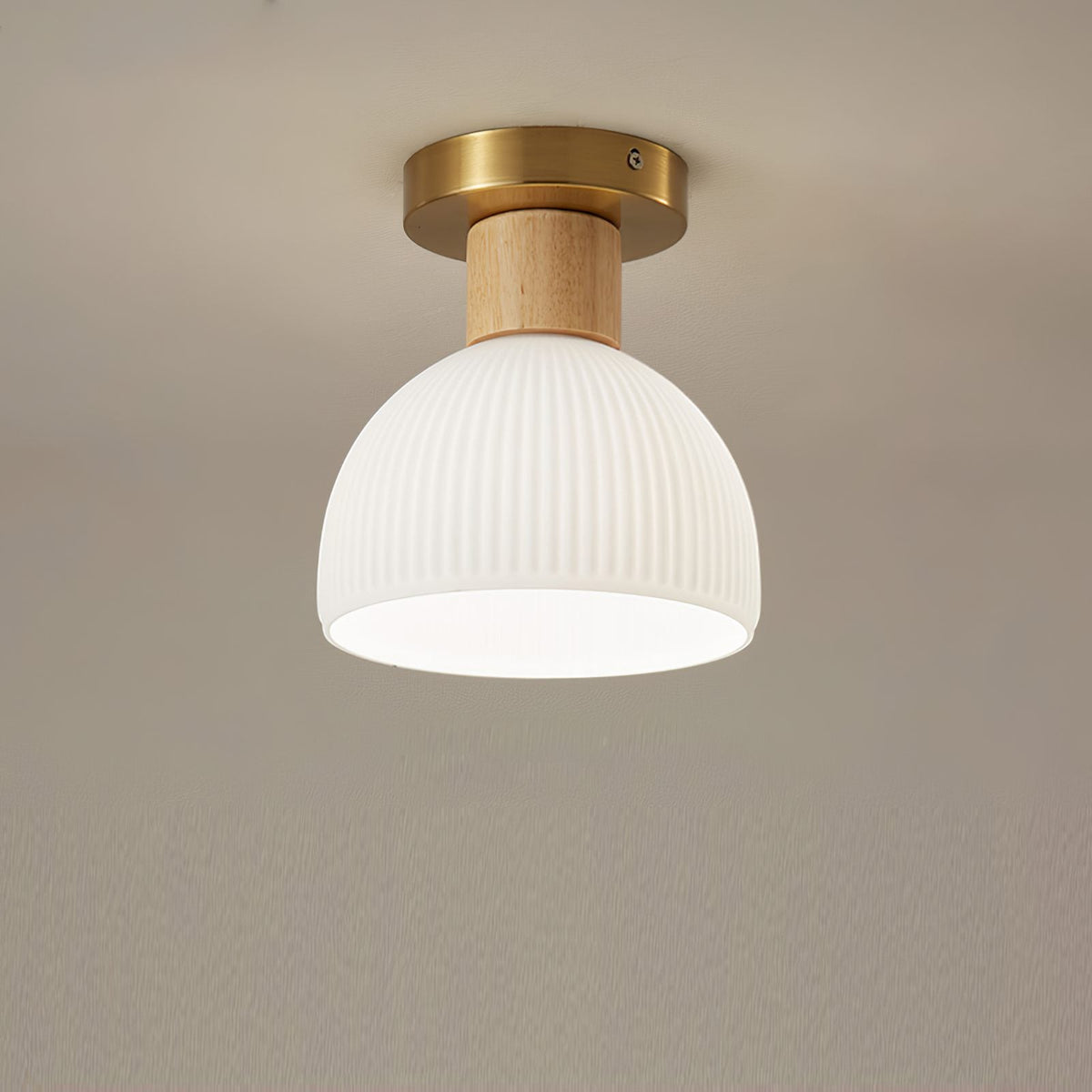 Horn Shaped Small Ceiling Lamp