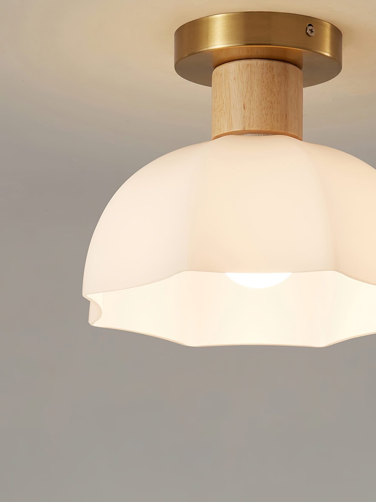 Horn Shaped Small Ceiling Lamp