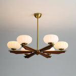 Imperium Modern Glass Wood Chandelier for Dining Room and Foyer