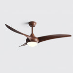 Indoor Ceiling Fan Light