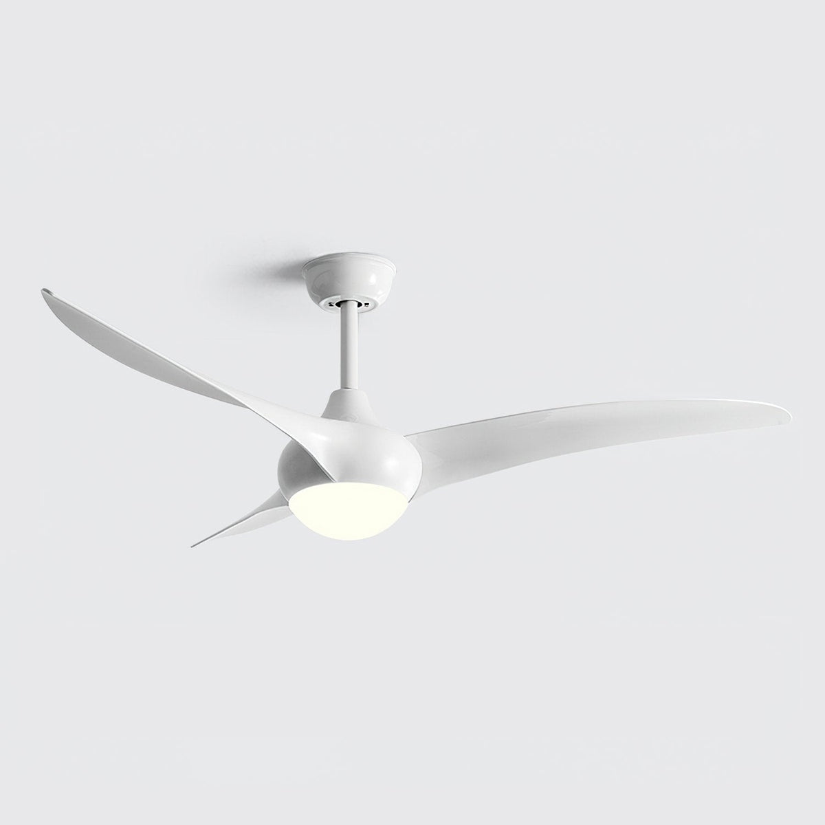 Indoor Ceiling Fan Light