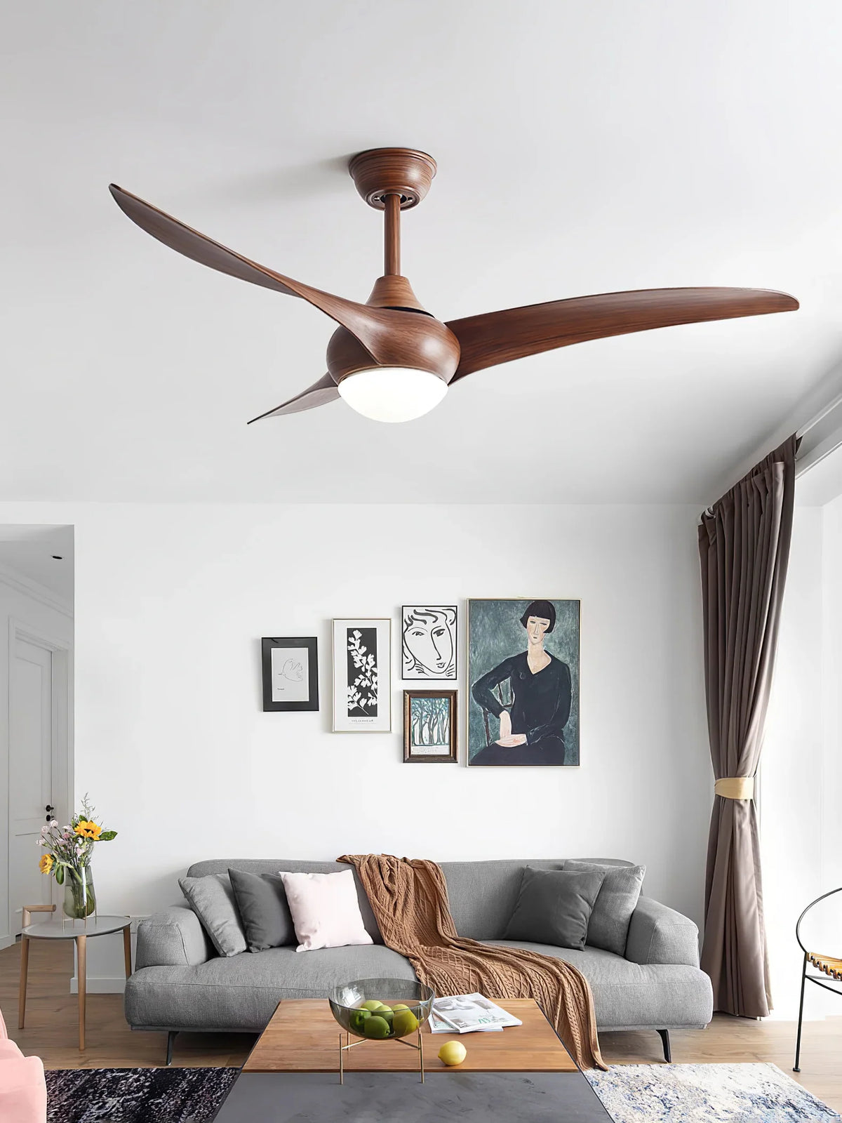 Indoor Ceiling Fan Light