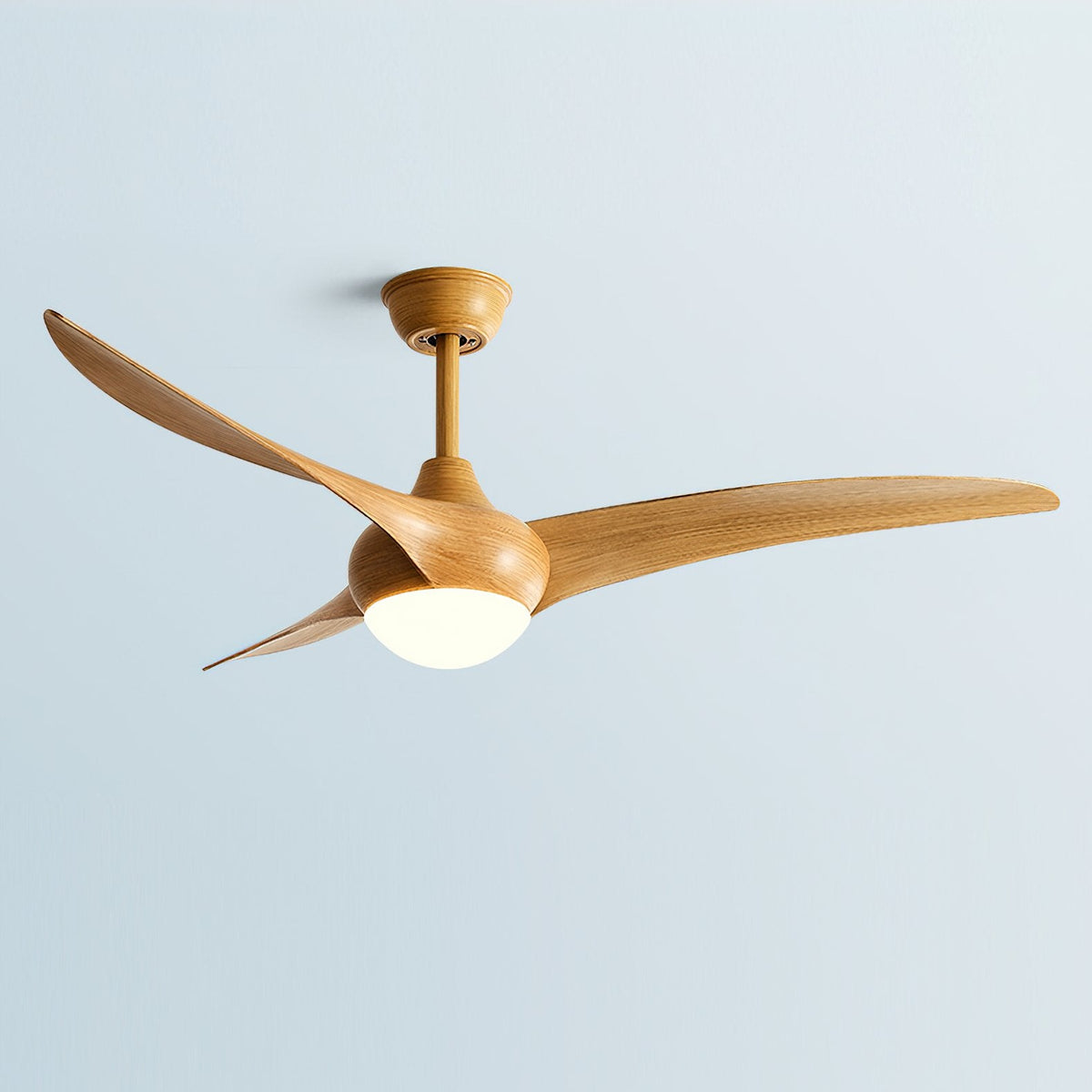 Indoor Ceiling Fan Light