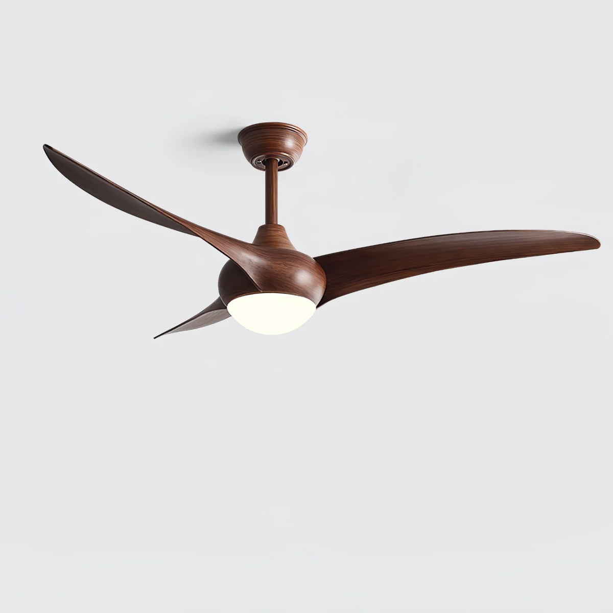 Indoor Ceiling Fan Light