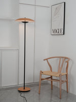 Innovative Directional Floor Lamp