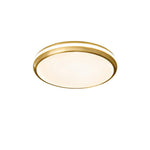 jameson-ceiling-light