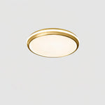 jameson-ceiling-light