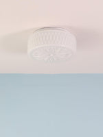 Adler Ceiling Light - ailampplus