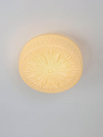 Adler Ceiling Light - ailampplus