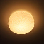 Adler Ceiling Light - ailampplus
