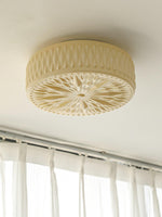 Adler Ceiling Light - ailampplus