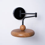 Karlin Swing Arm LED Wall Sconce in Metal and Acrylic