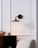Karlin Swing Arm LED Wall Sconce in Metal and Acrylic