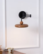 Karlin Swing Arm LED Wall Sconce in Metal and Acrylic