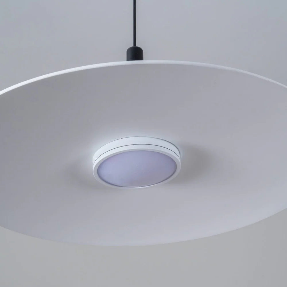 Chic Large Pendant Light