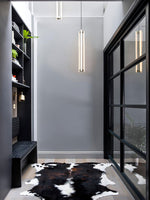 Lia Minimalist LED Pendant Light in Chrome and White