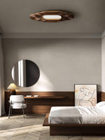 lianyan-ceiling-lamp