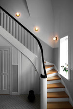 Celeste Wall Ceiling Lamp
