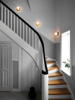 Celeste Wall Ceiling Lamp