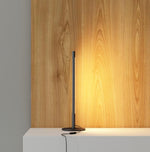 Linear Led Floor Table Lamp