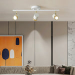 Linear Track Ceiling Light