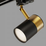 Linear Track Ceiling Light