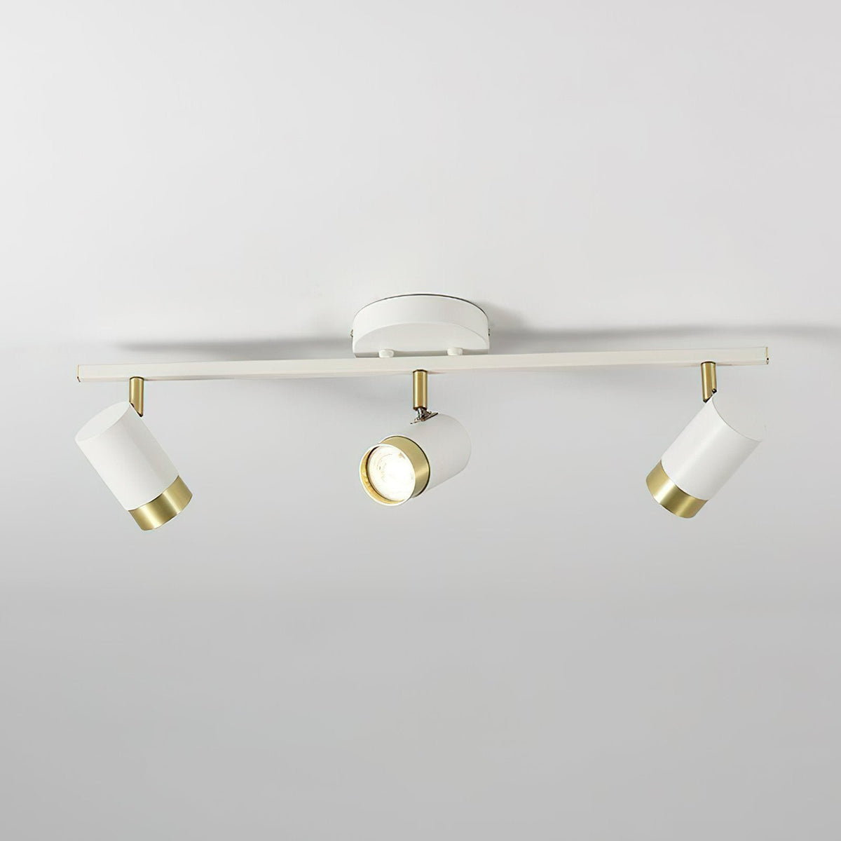 Linear Track Ceiling Light