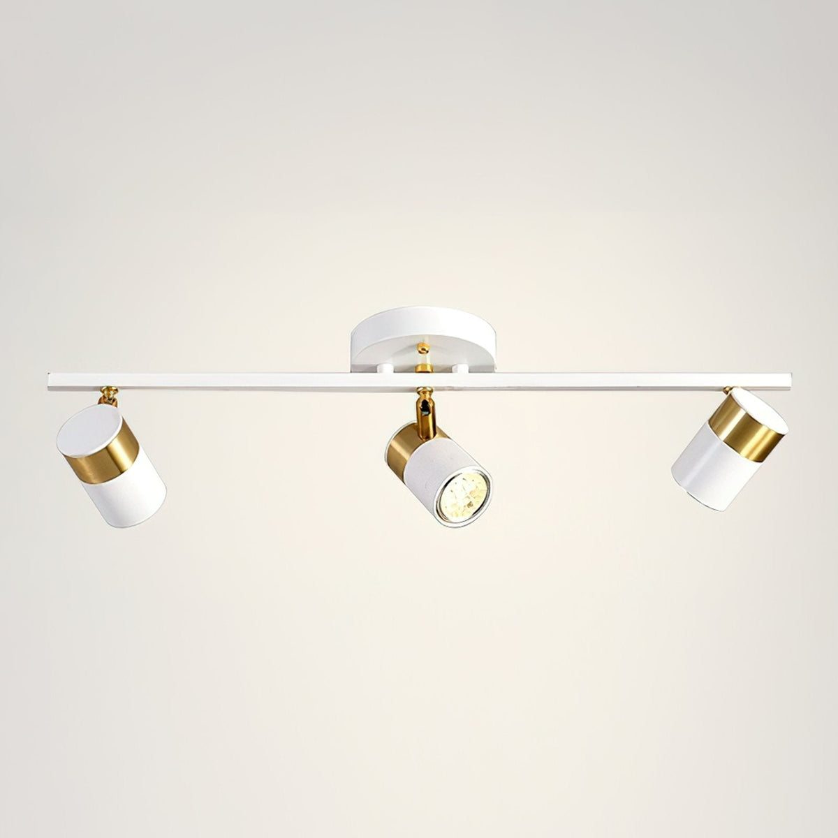 Linear Track Ceiling Light