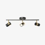 Linear Track Ceiling Light