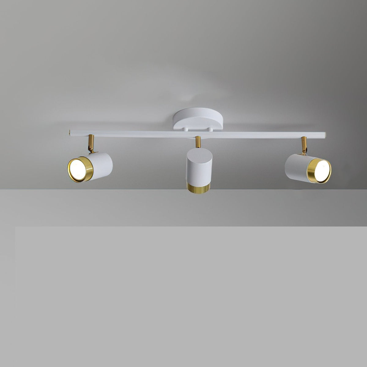 Linear Track Ceiling Light