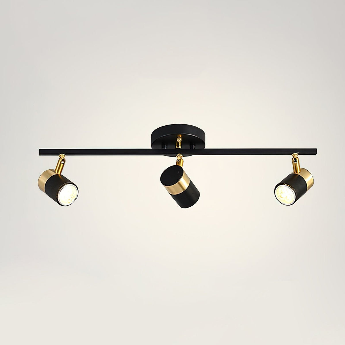 Linear Track Ceiling Light