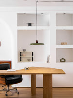 Lola Pendant Swag Light – Modern LED Disc Pendant for Living Room & Dining Room