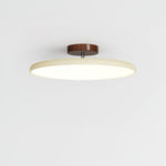 Drift Adjustable Ceiling Light – Modern LED Flush Mount for Living Room & Bedroom