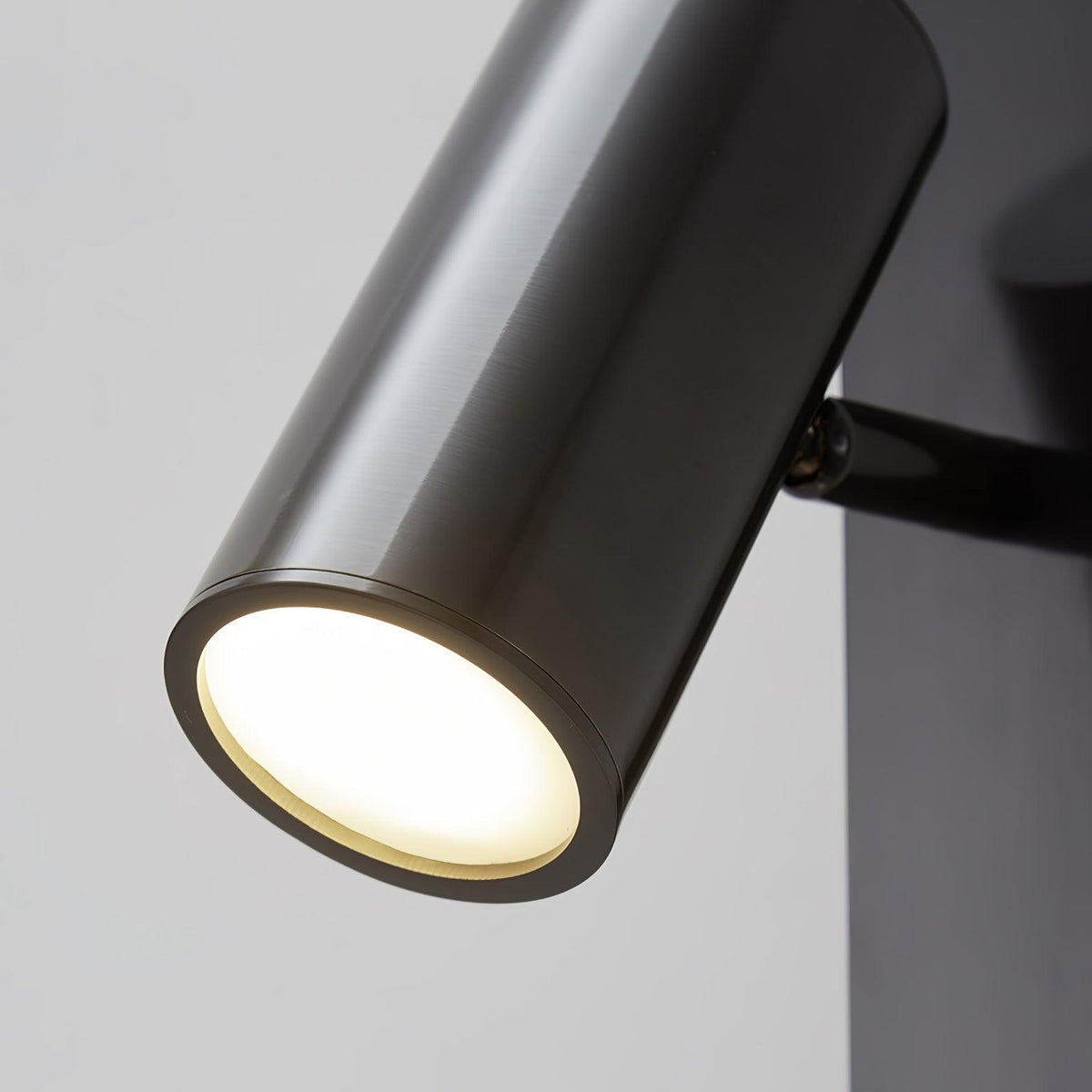 Long Arm Plug In Wall Light