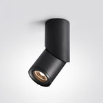 Long tube ring rotating downlight